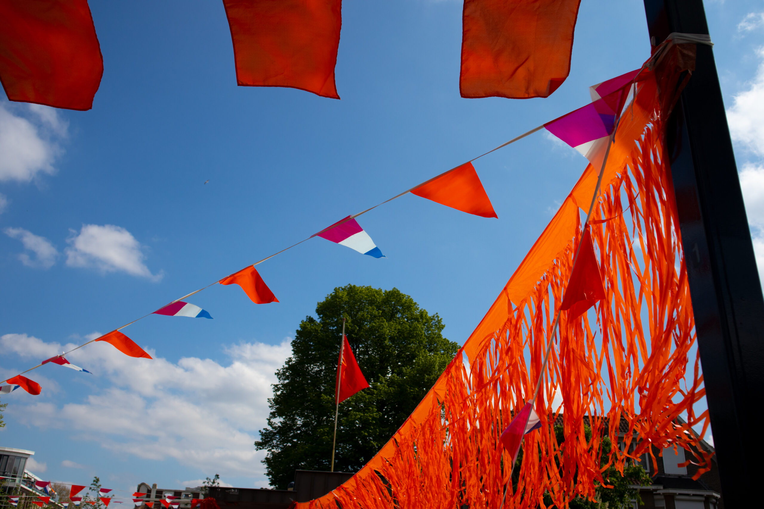 orange flags