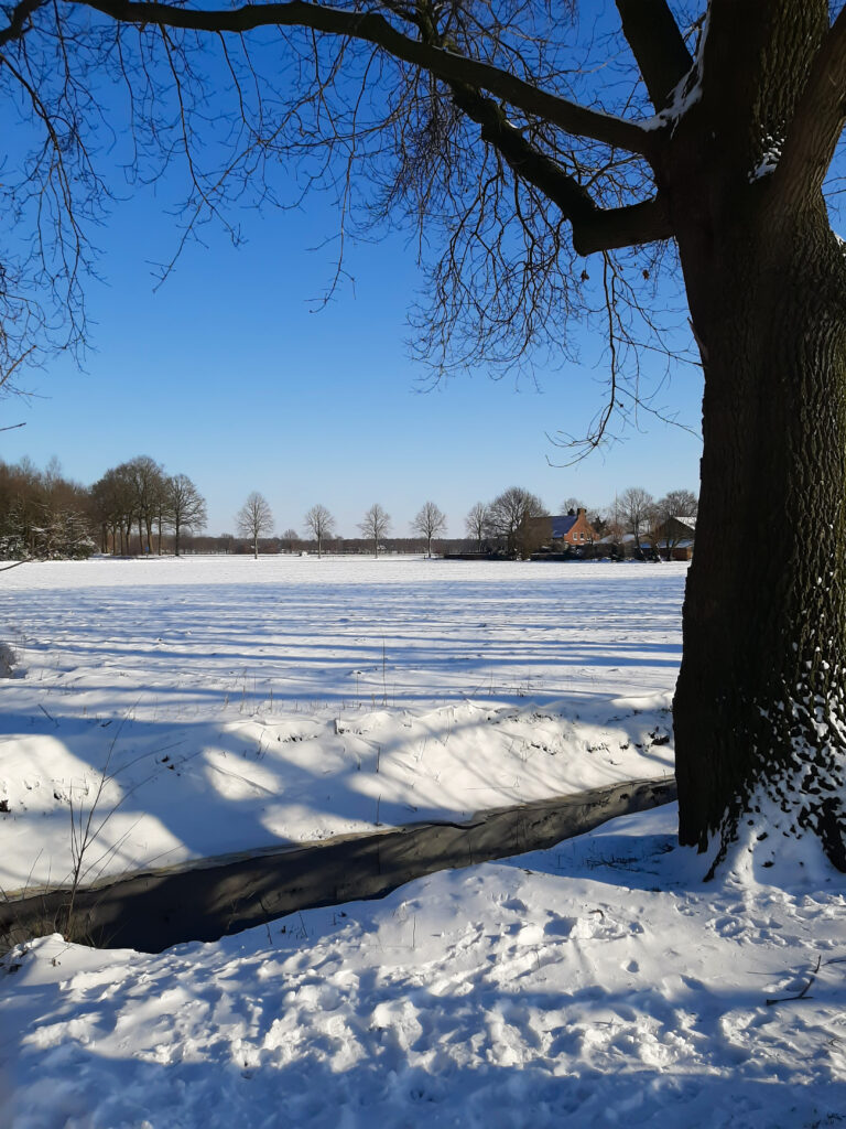 Winter in Holland landscape with farm