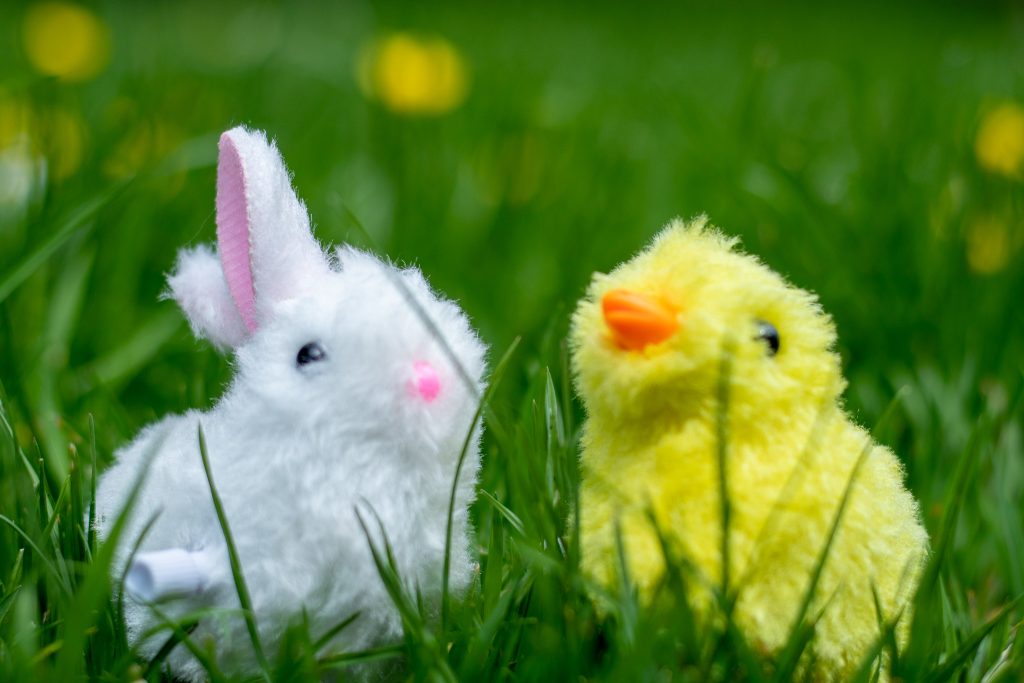 Toy bunny and chick