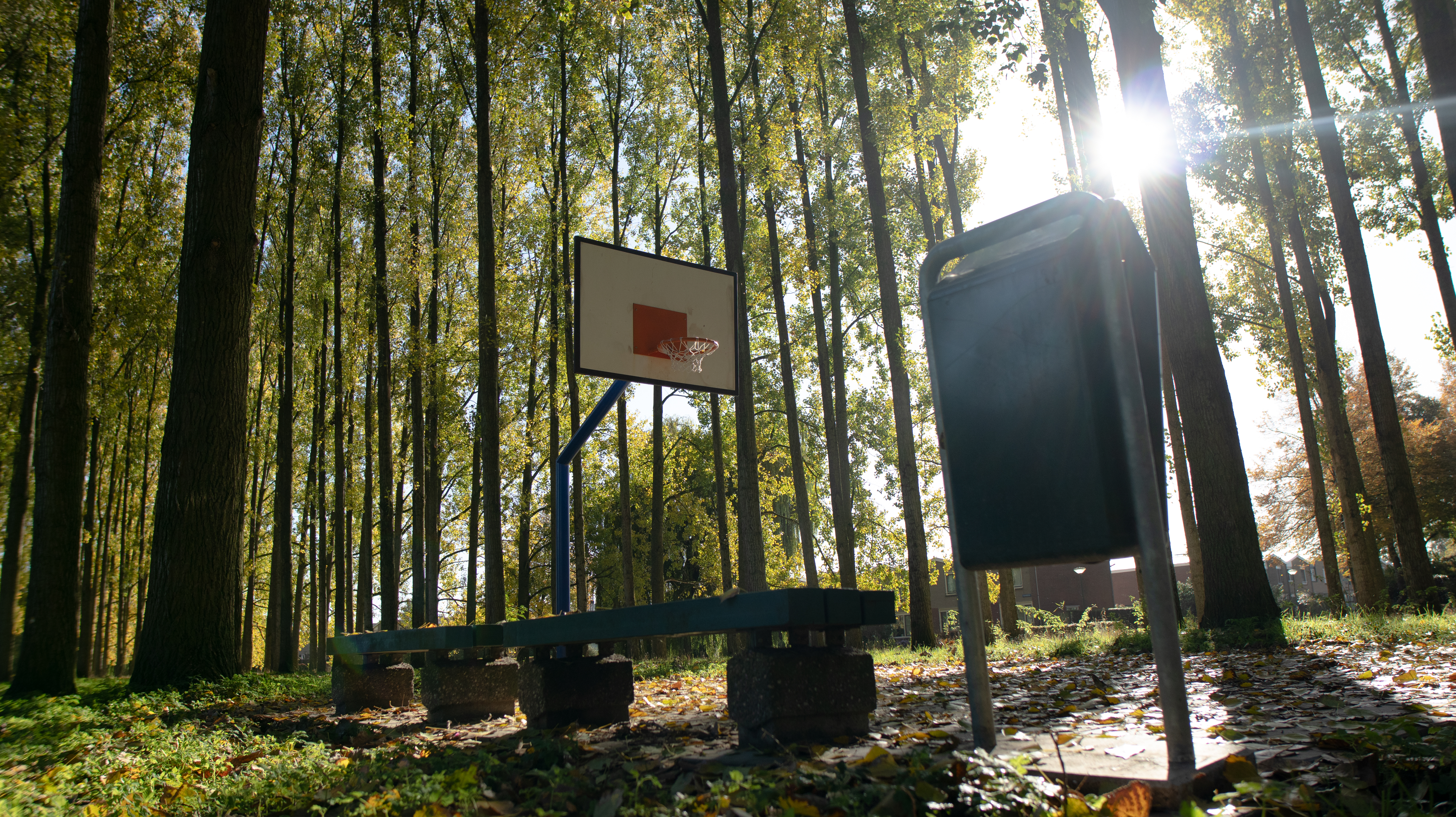 Basketball court outdoor in autumn