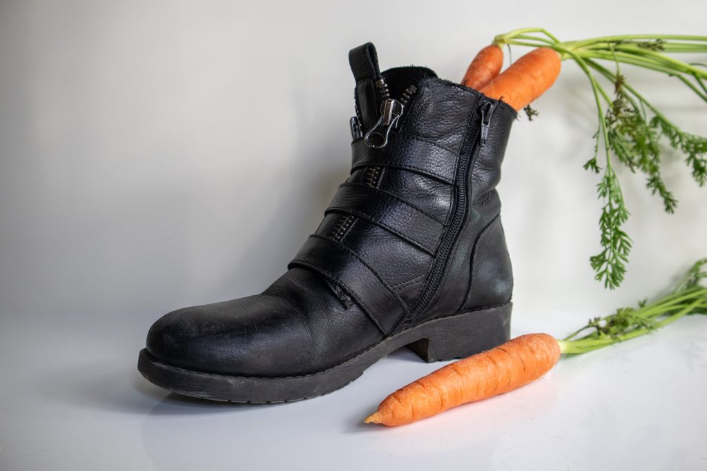 Carrot in shoe