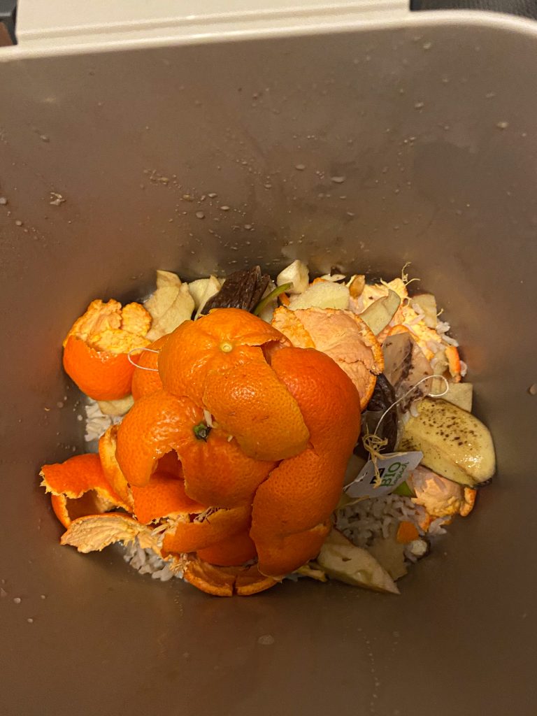 Food in trash can