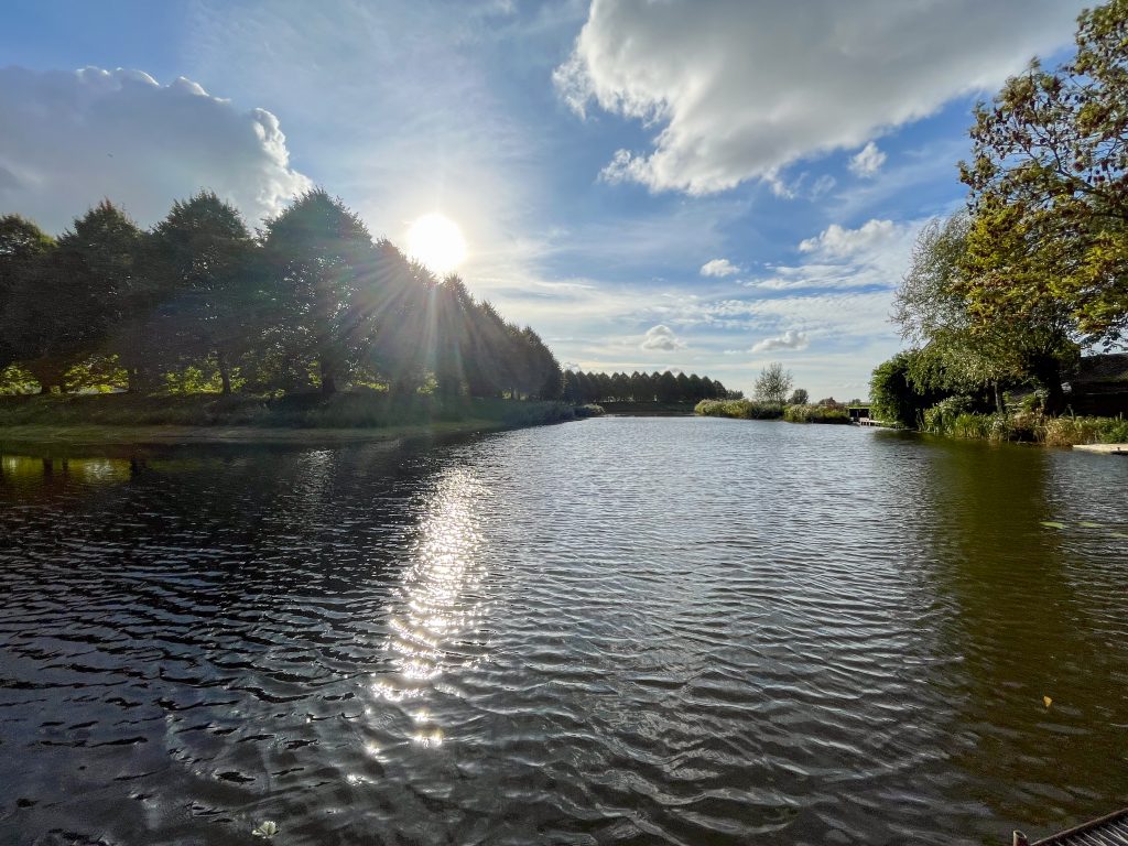 Sunlight Lake with trees in Moerdijk Klundert