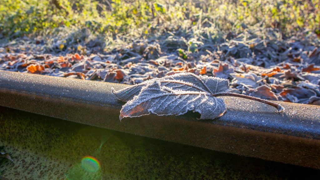 Frozen leaf close to train tracks