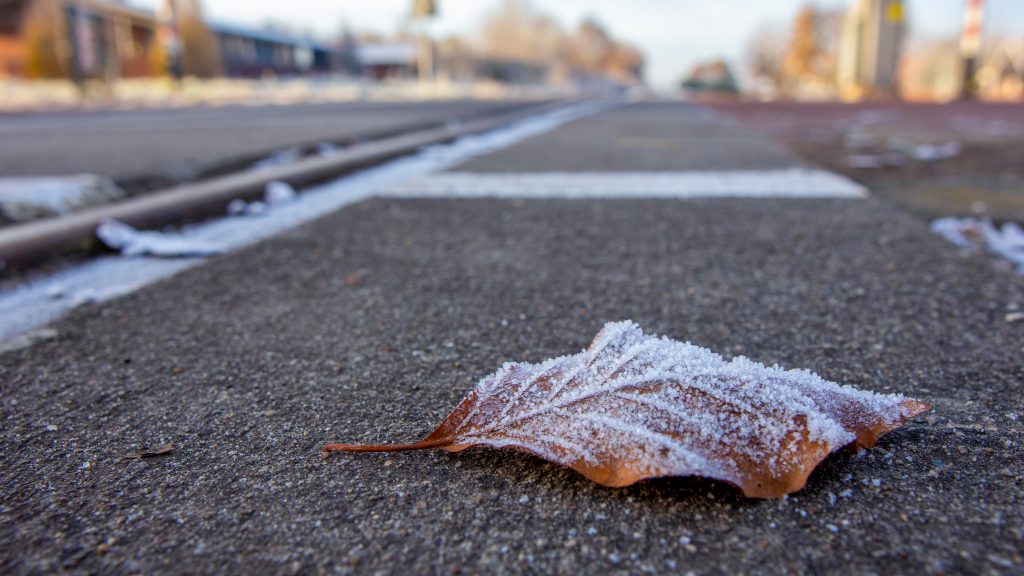 Frozen leaf on ground near railway track