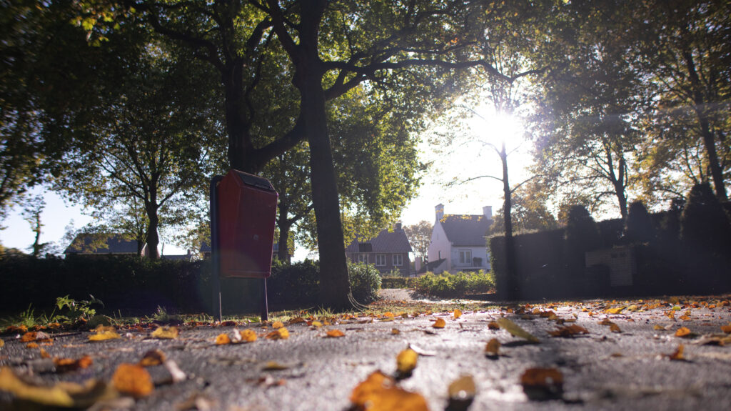 Park inside the neighborhood in Autumn