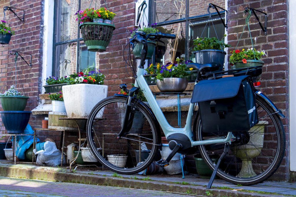 Bike parked in front of a house, surrounded by flowers