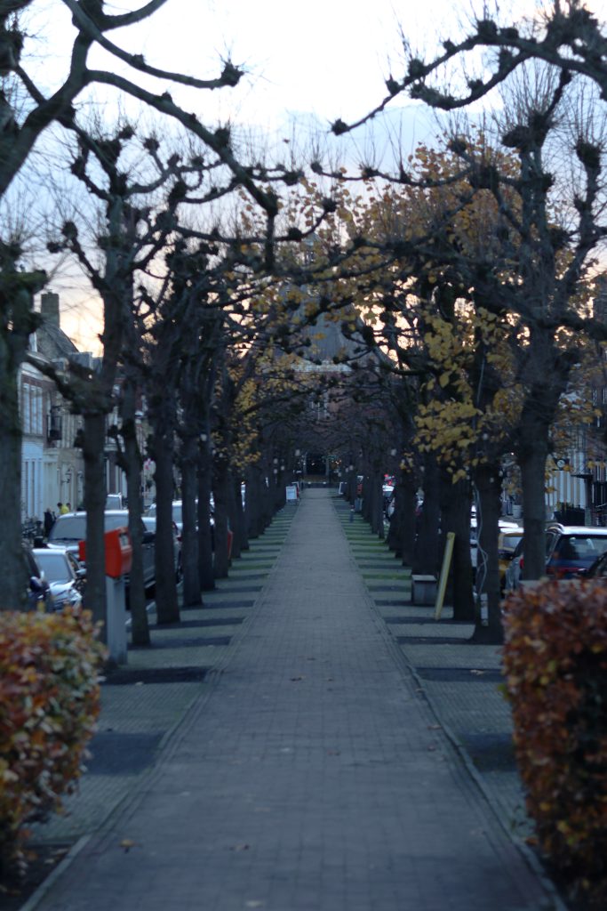 Street with trees in Willemstad