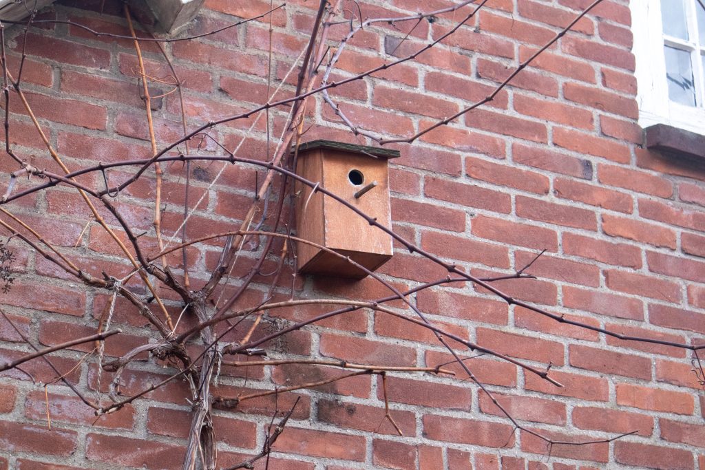 a bird house on the wall with branches